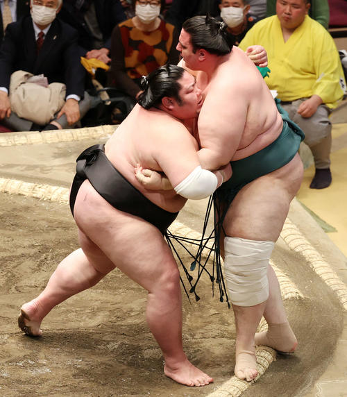 碧山（右）を寄り切りで破る剣翔（撮影・鈴木正人）