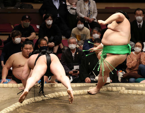 若元春（右）を下手投げで破る千代丸（撮影・鈴木正人）
