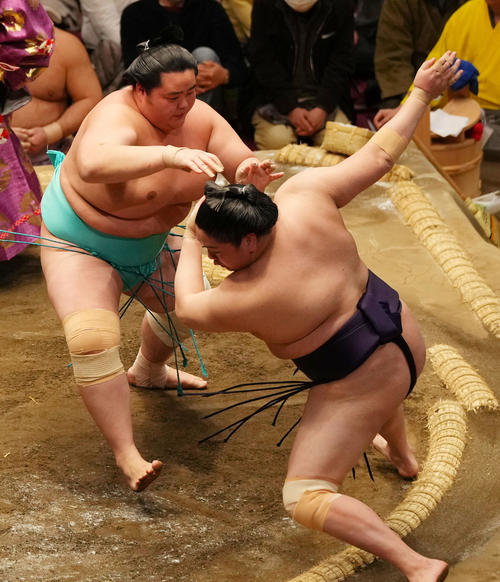 一山本（右）を押し倒しで破る琴ノ若（撮影・横山健太）