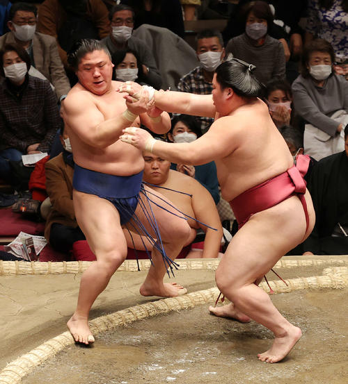 若隆景（左）を突き出しで破る大栄翔（撮影・河野匠）