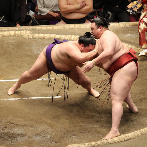 明生（左）を突き落としで破る隆の勝（撮影・河野匠）