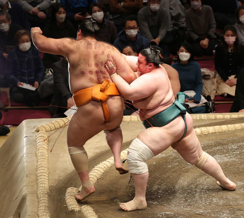 魁聖（左）を押し出しで破る碧山（撮影・河野匠）