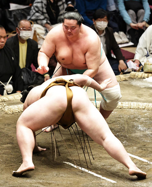 王鵬（下）を肩透かしで破る琴ノ若（撮影・中島郁夫）