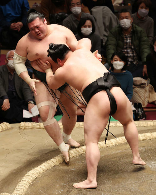 豊山（左）を寄り切る若元春（撮影・河野匠）