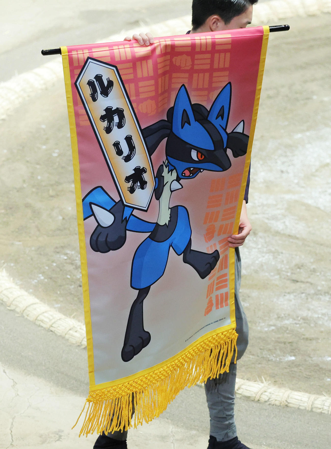 琴恵光と佐田の海の一番、はどうポケモンルカリオの懸賞旗が回る（撮影・河田真司）
