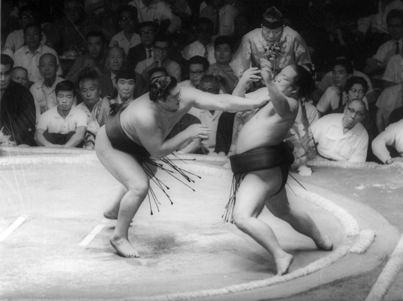65年9月大相撲秋場所　3日目　東横綱大鵬（突き出し）東前頭筆頭琴桜　大鵬は突っ張る琴桜を突き返し完勝（1965年9月7日撮影）