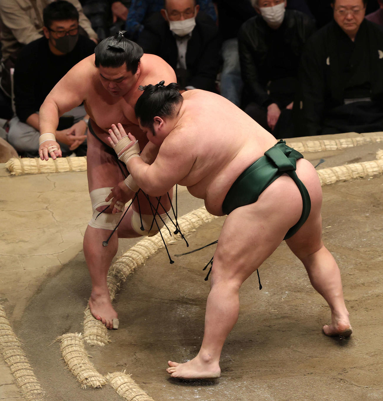 妙義龍（左）を押し出しで破る千代大龍（撮影・河野匠）