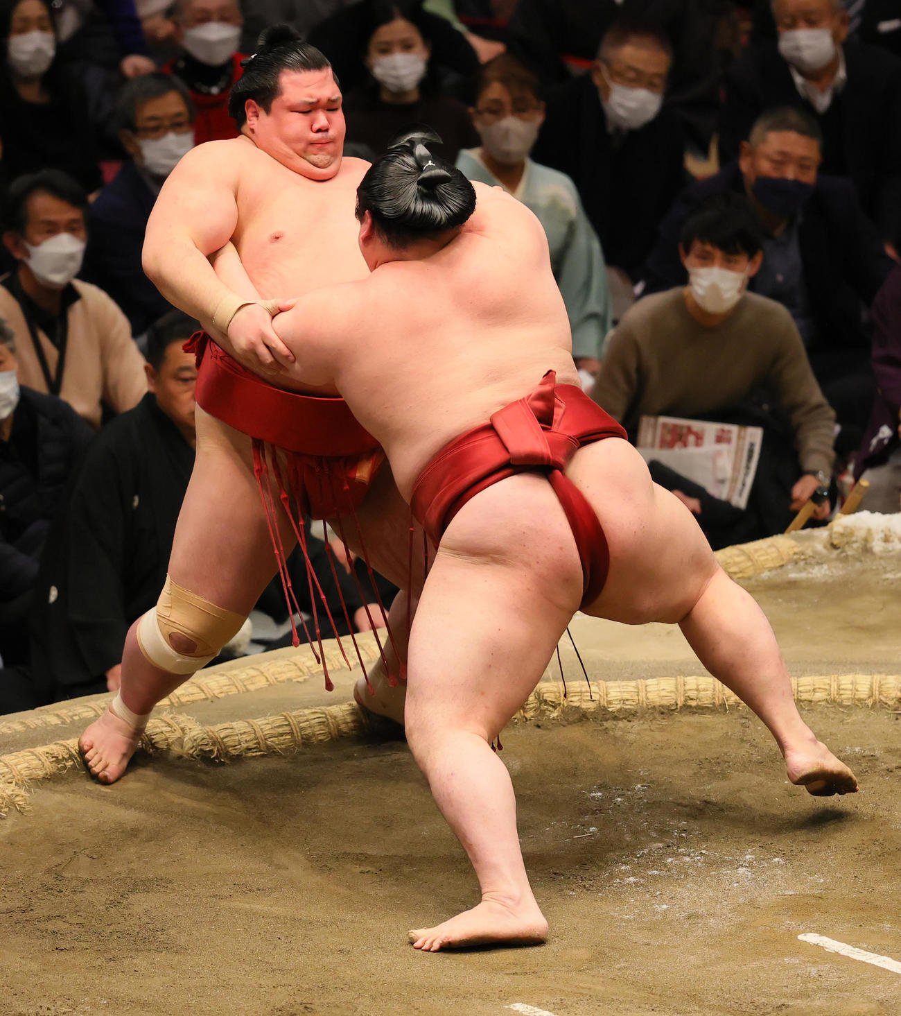 阿武咲（奥）を押し出しで破る隆の勝（撮影・野上伸悟）