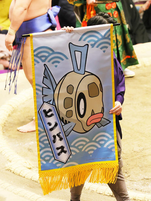 さかなポケモン「ヒンバス」の懸賞旗（撮影・野上伸悟）