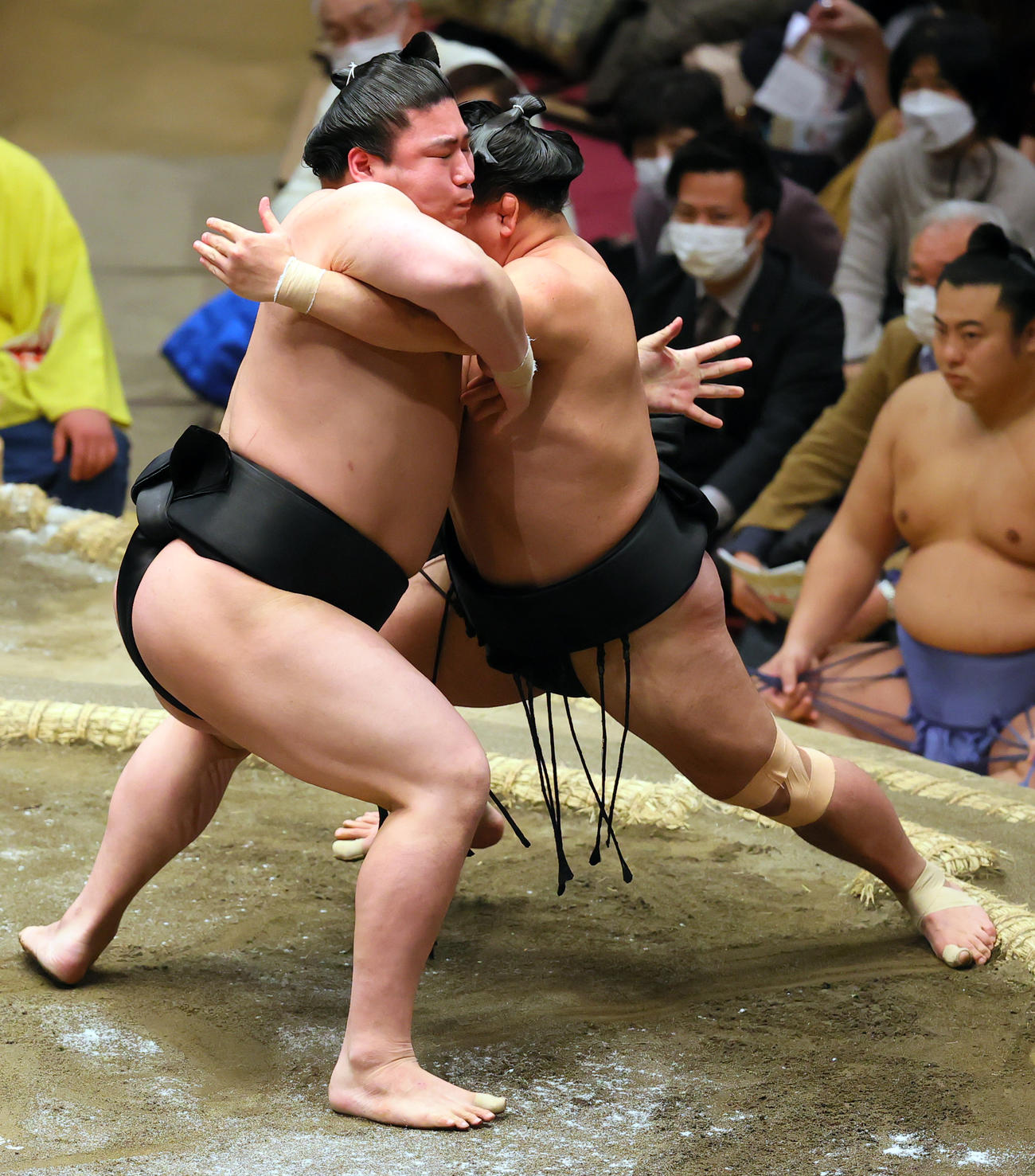 照強（右）を寄り切りで破る若元春（撮影・野上伸悟）