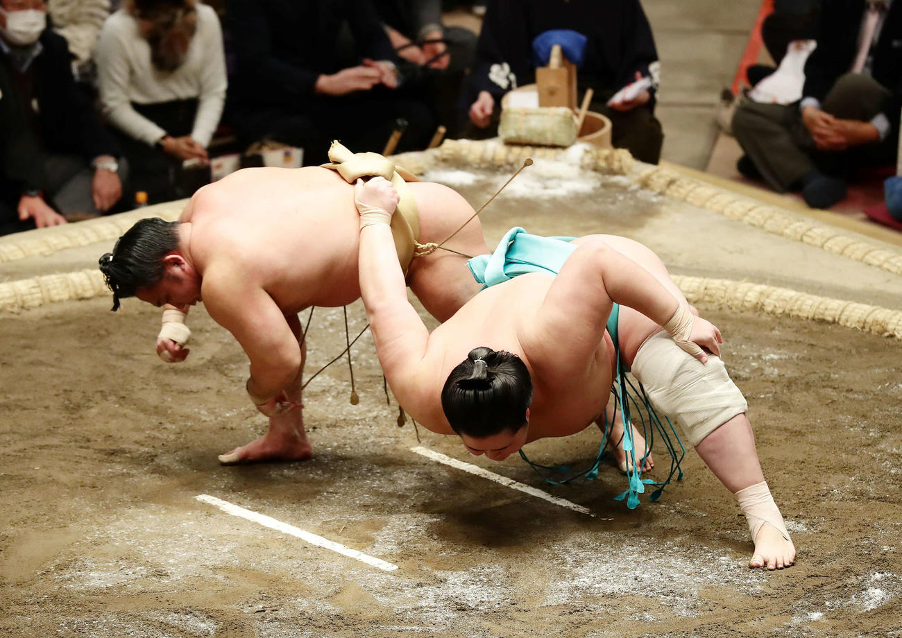 琴ノ若を下手投げで破った石浦（撮影・丹羽敏通）