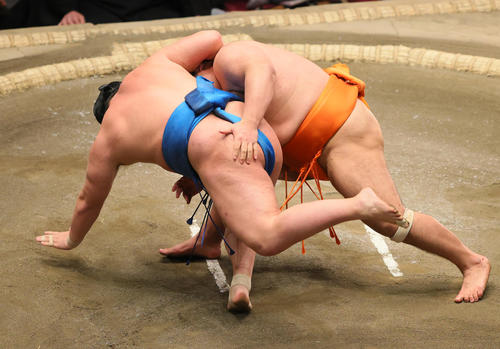 すくい投げで豊昇龍（左）を破る志摩ノ海（撮影・野上伸悟）