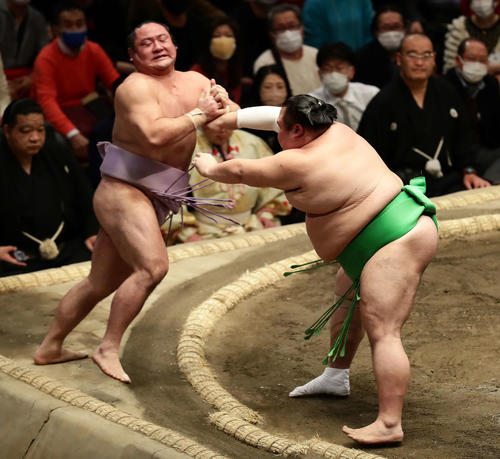 琴恵光を押し出しで破った千代丸（撮影・丹羽敏通）