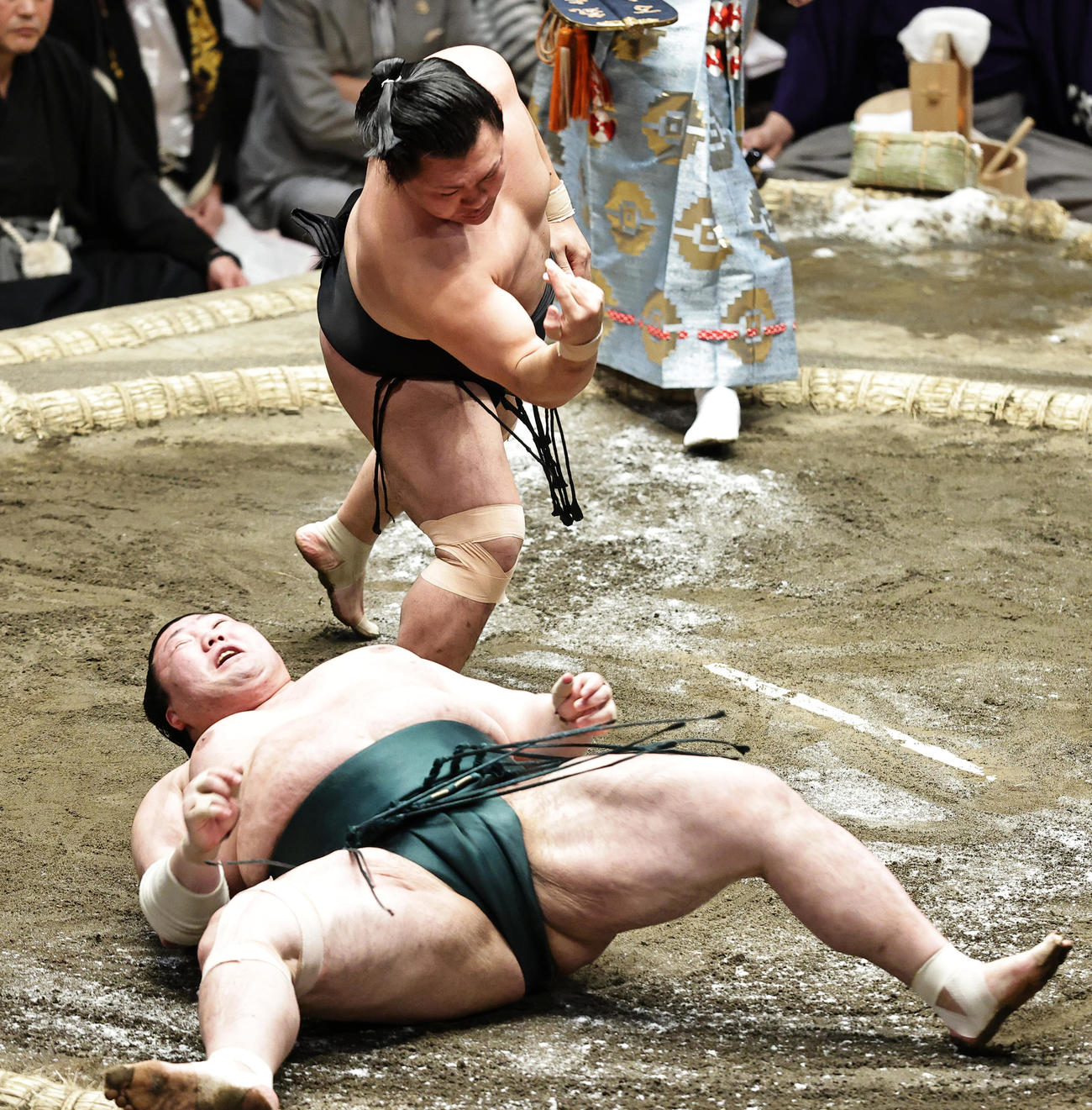 初場所11日目　×豊山（巻き落とし）照強○　豊山（下）を巻き落としで破る照強（撮影・中島郁夫）