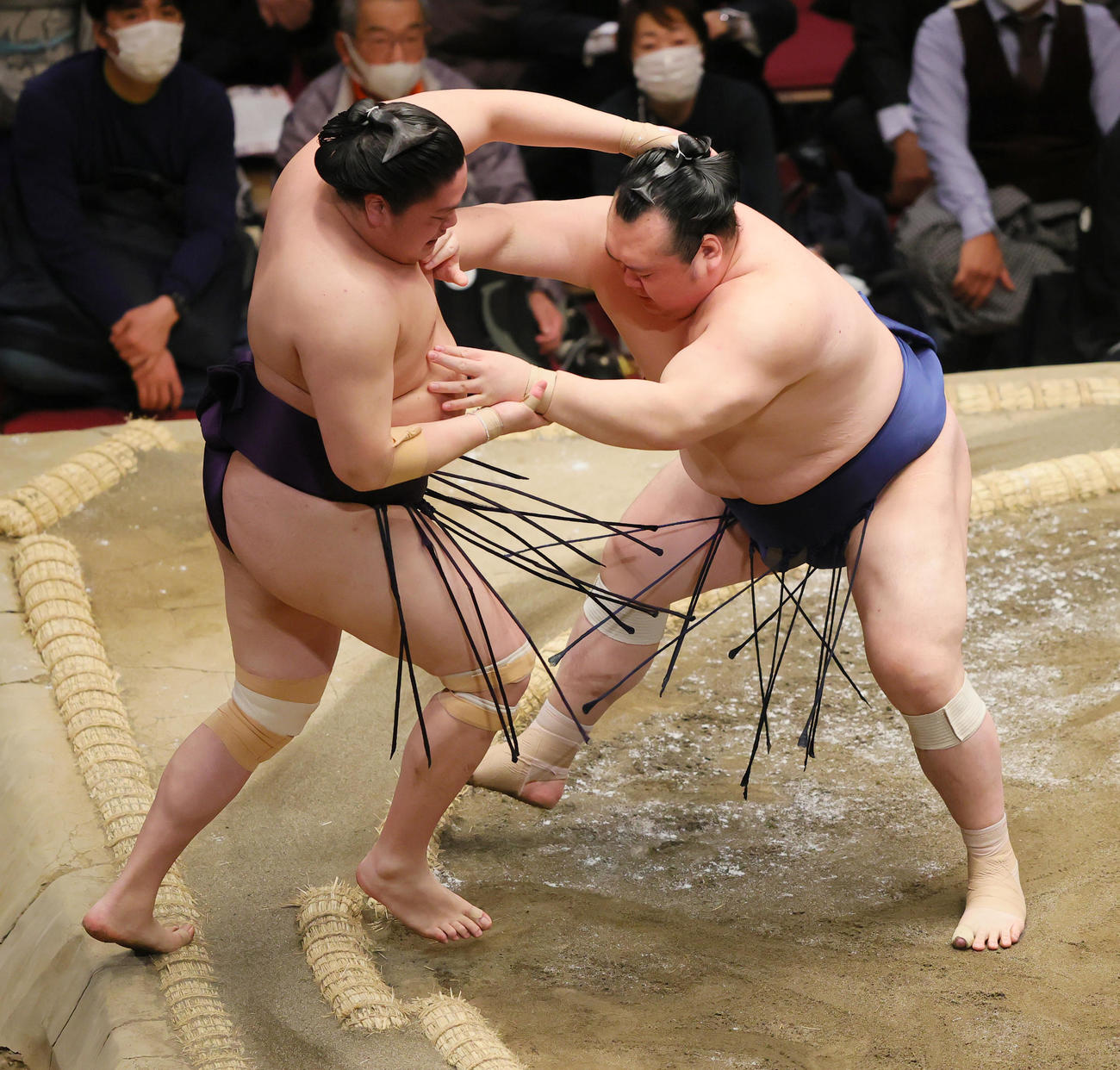 押し出しで一山本（左）を破る宝富士（撮影・野上伸悟）