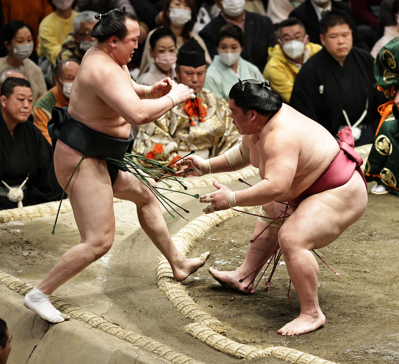 千代翔馬（左）を押し出しで破る大栄翔（撮影・中島郁夫）
