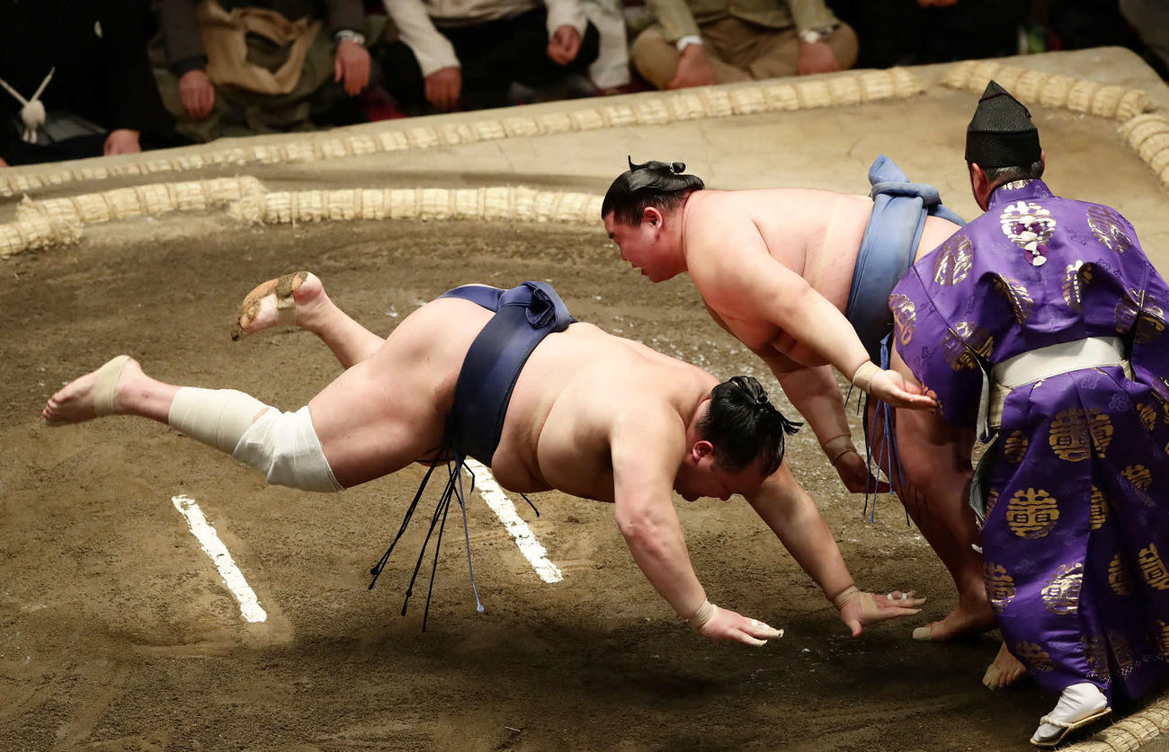 北勝富士をはたき込みで破った正代（撮影・丹羽敏通）