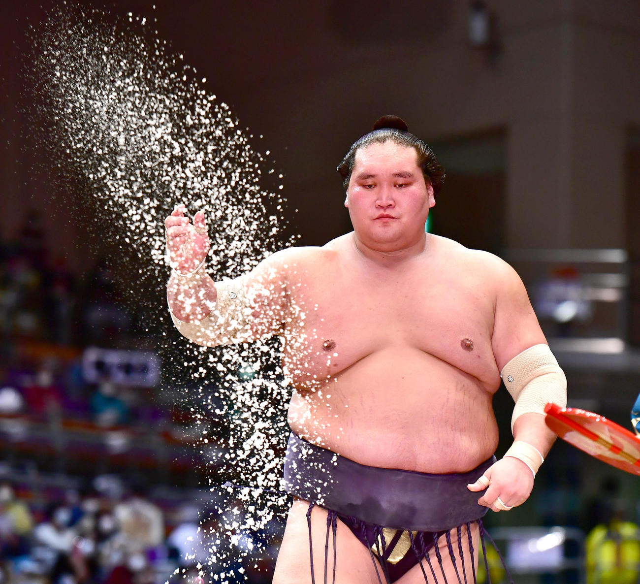 照ノ富士（2021年11月26日撮影）