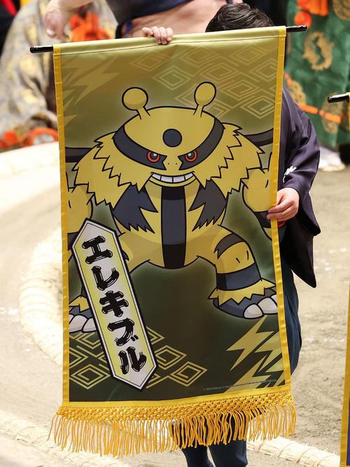 らいでんポケモン「エレキブル」の懸賞旗（撮影・鈴木正人）