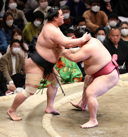 妙義龍（左）を押し出しで破る大栄翔（撮影・鈴木正人）