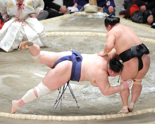 北勝富士(左)を肩すかしで破る照強(撮影・河田真司)