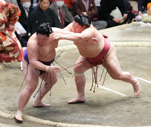 明生(左)を押し出しで破る大栄翔(撮影・河田真司)