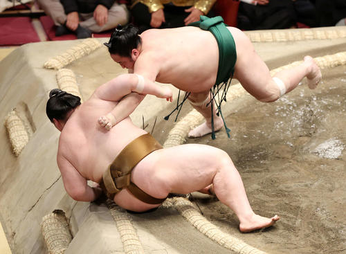 王鵬(左)を寄り倒しで破る佐田の海(撮影・鈴木正人)