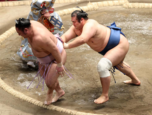 琴恵光(左)を突き出しで破る千代の国(撮影・鈴木正人)