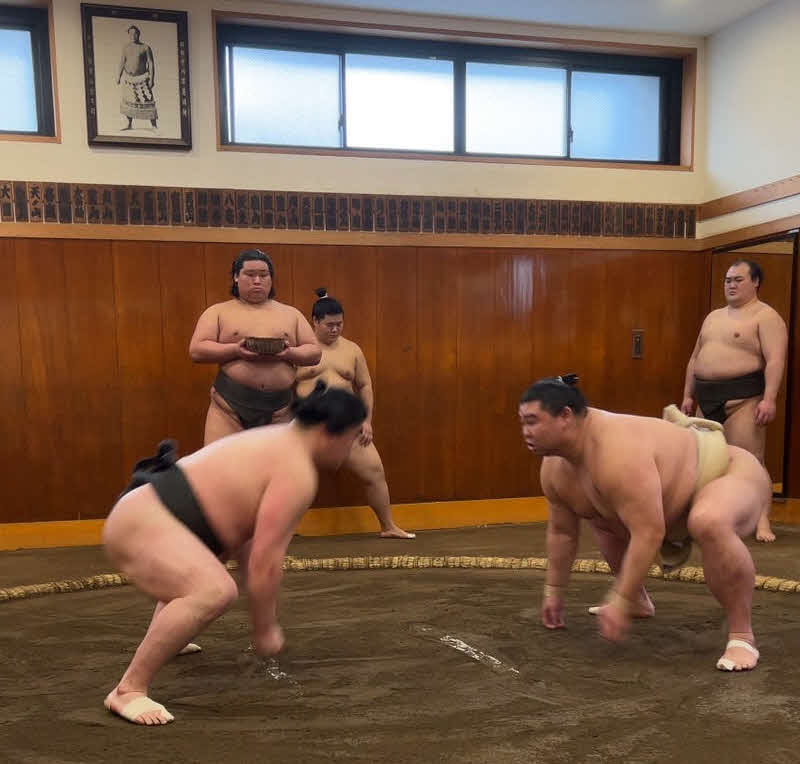 春場所に向けて若い衆を相手に稽古に励む正代（右）（日本相撲協会提供）