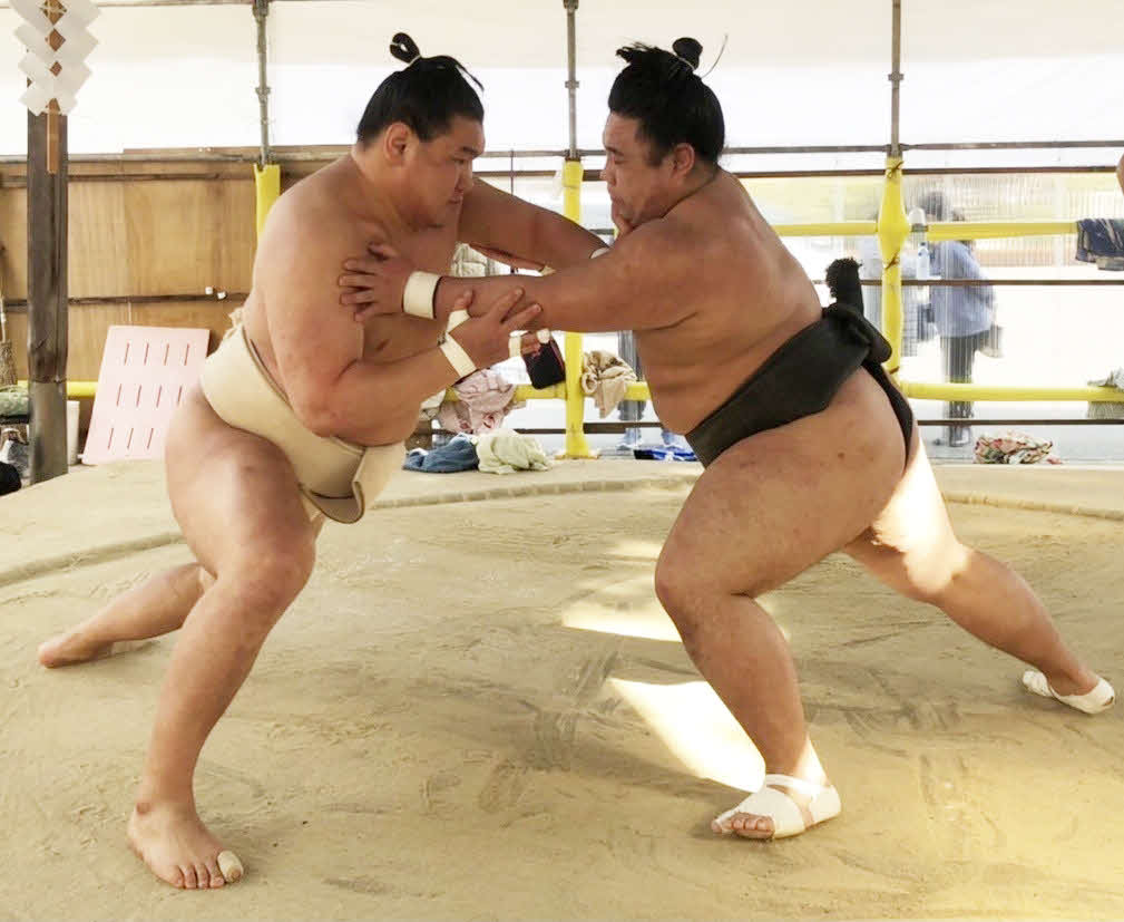 春場所に向けて若い衆を相手にして稽古に励む豊昇龍（左）（日本相撲協会提供）