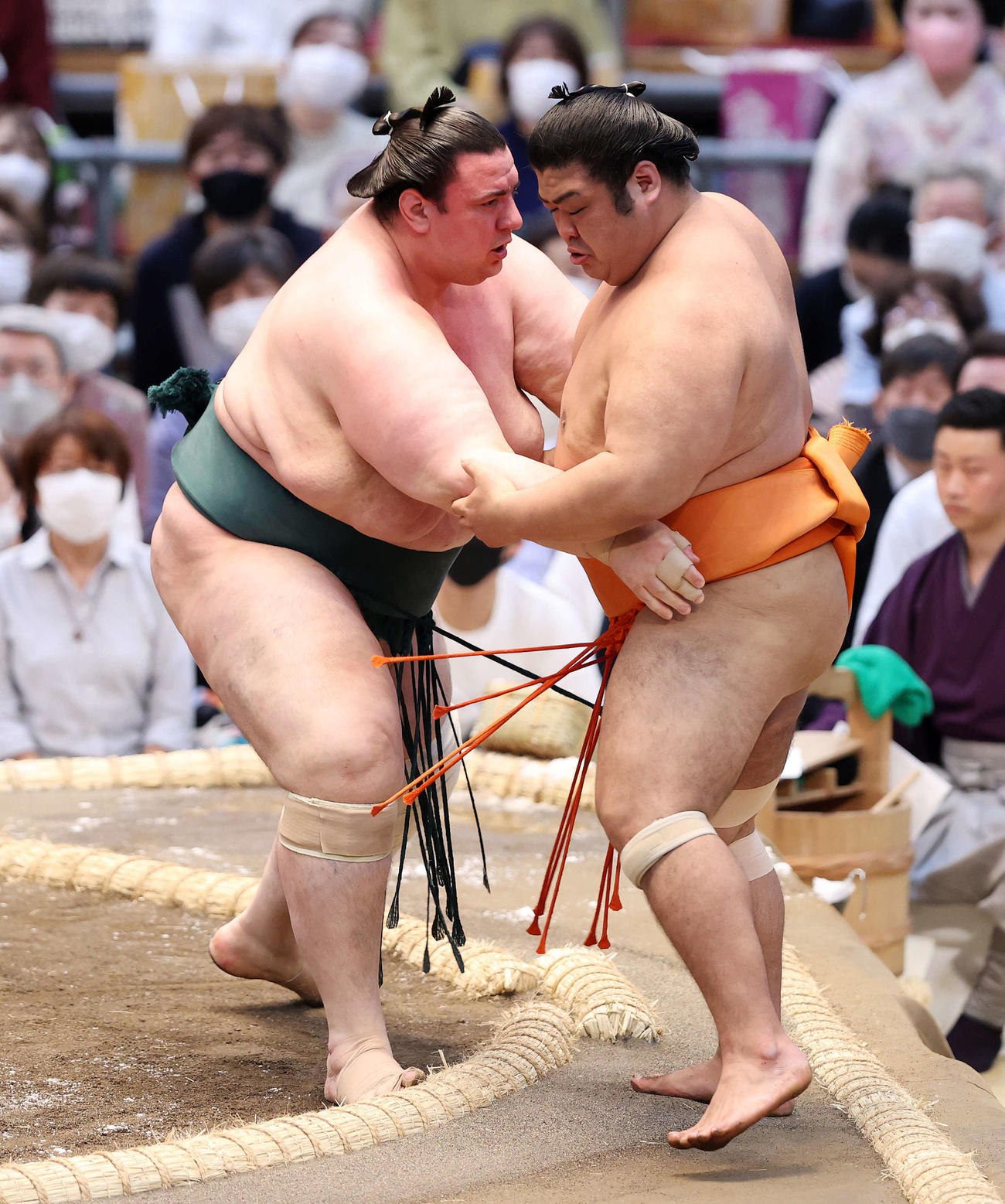 志摩ノ海（右）を寄り切りで破る碧山（撮影・鈴木正人）
