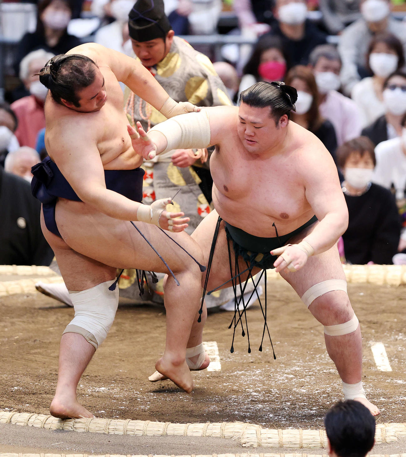千代の国（左）を押し出しで破る豊山（撮影・鈴木正人）