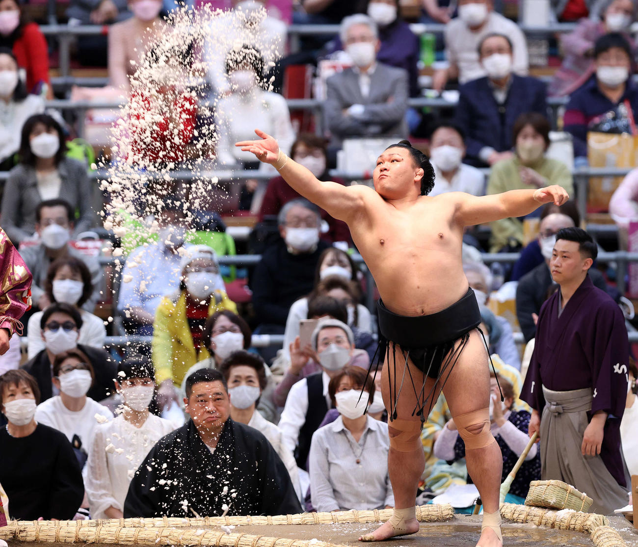 豪快に塩をまく照強（撮影・鈴木正人）