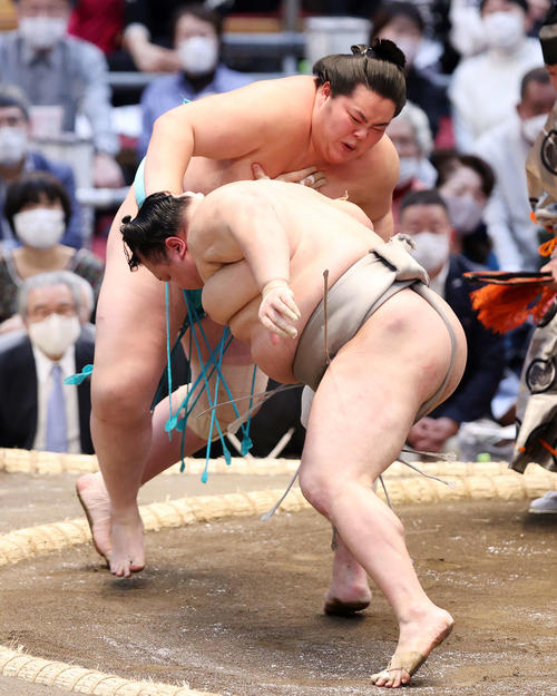 北勝富士（手前）と攻め合う琴ノ若（撮影・鈴木正人）