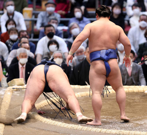 玉鷲（左）を突き落としで破った若隆景（撮影・鈴木正人）