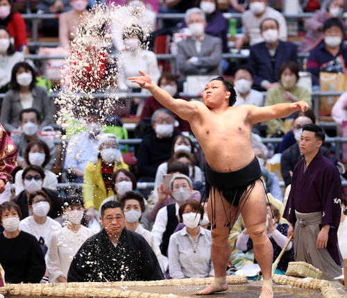 豪快に塩をまく照強（撮影・鈴木正人）