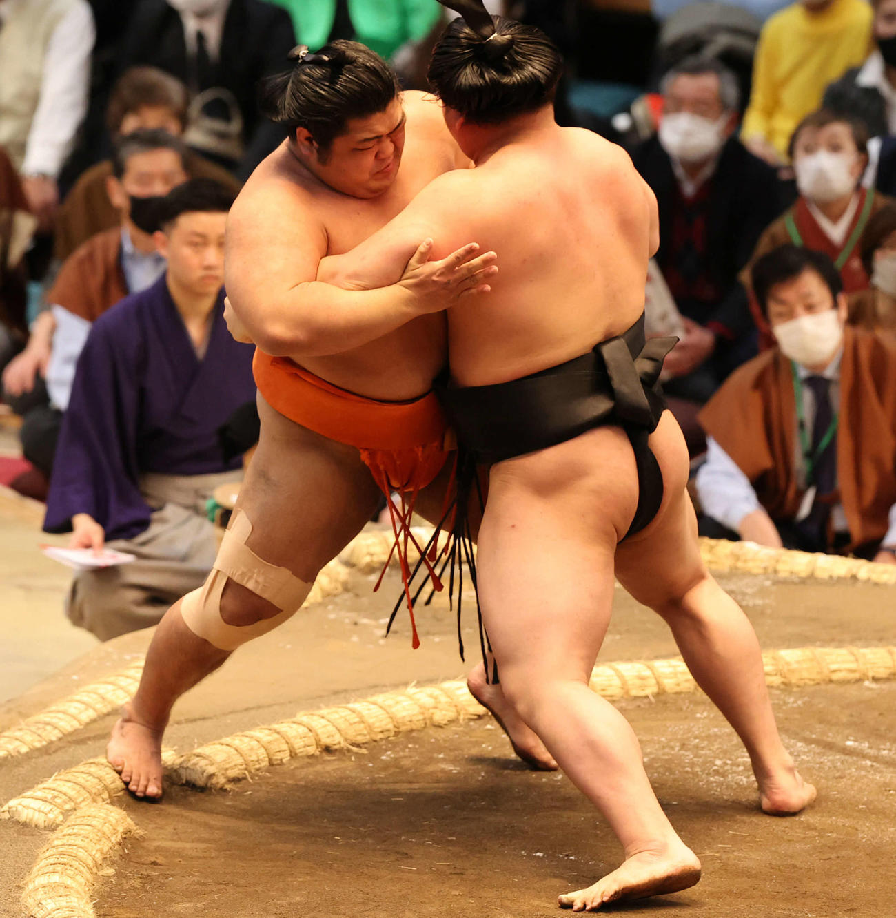 志摩ノ海を寄り切る若元春（撮影・渦原淳）
