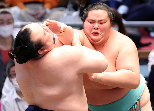 宝富士（左）を攻める琴ノ若（撮影・鈴木正人）