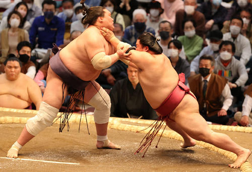 大栄翔を土俵際まで追い詰めた照ノ富士だったが（撮影・渦原淳）