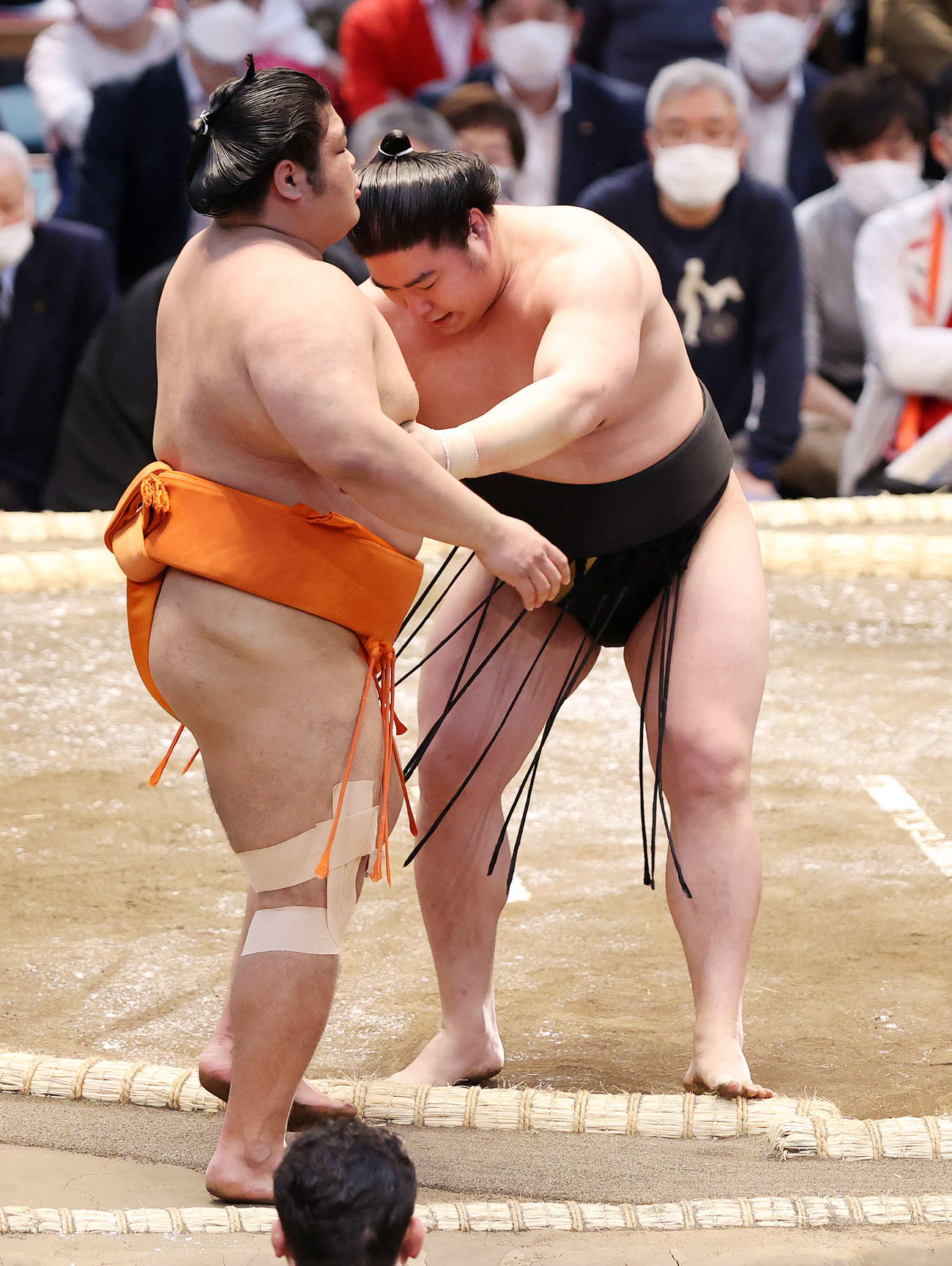 若元春（右）に寄り切られる志摩ノ海（撮影・鈴木正人）