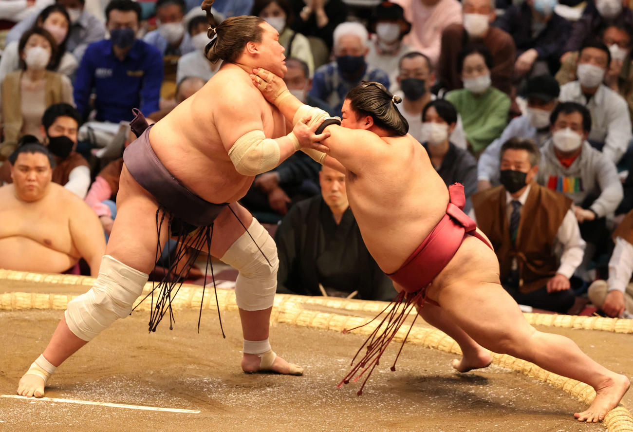 大栄翔を土俵際まで追い詰めた照ノ富士だったが（撮影・渦原淳）