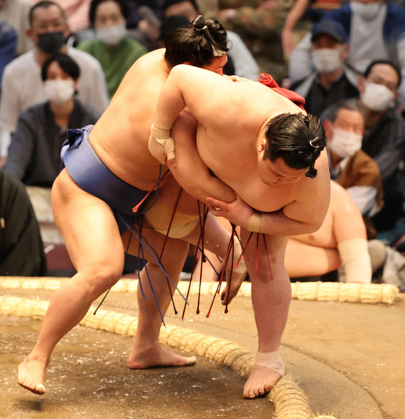 若隆景が阿武咲を破る（撮影・渦原淳）