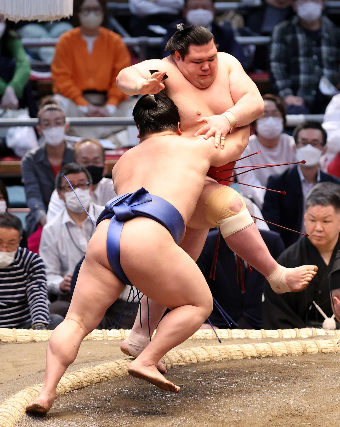 阿武咲（後方）を寄り倒しで破る若隆景（撮影・鈴木正人）