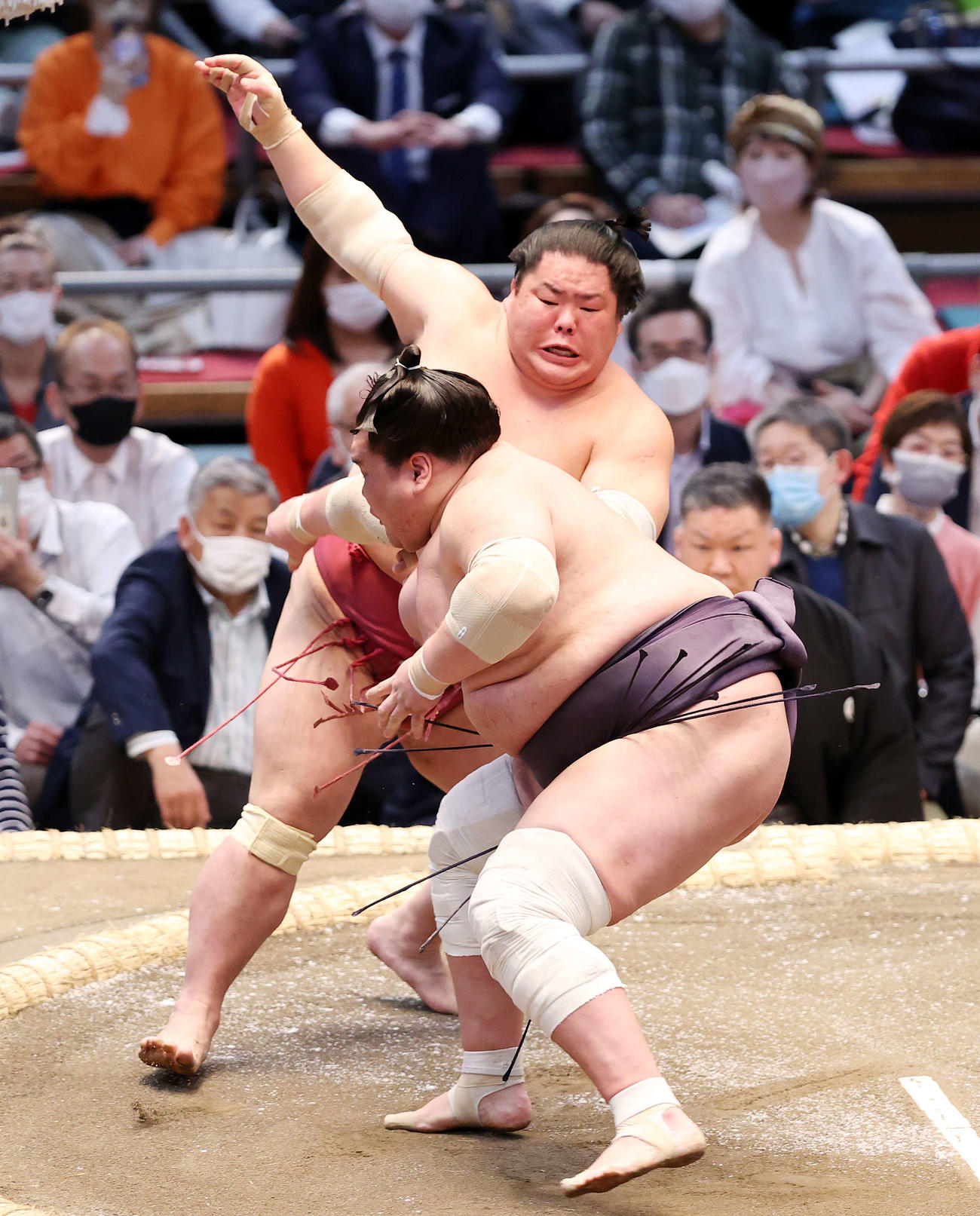 照ノ富士（手前）を攻める大栄翔（撮影・鈴木正人）