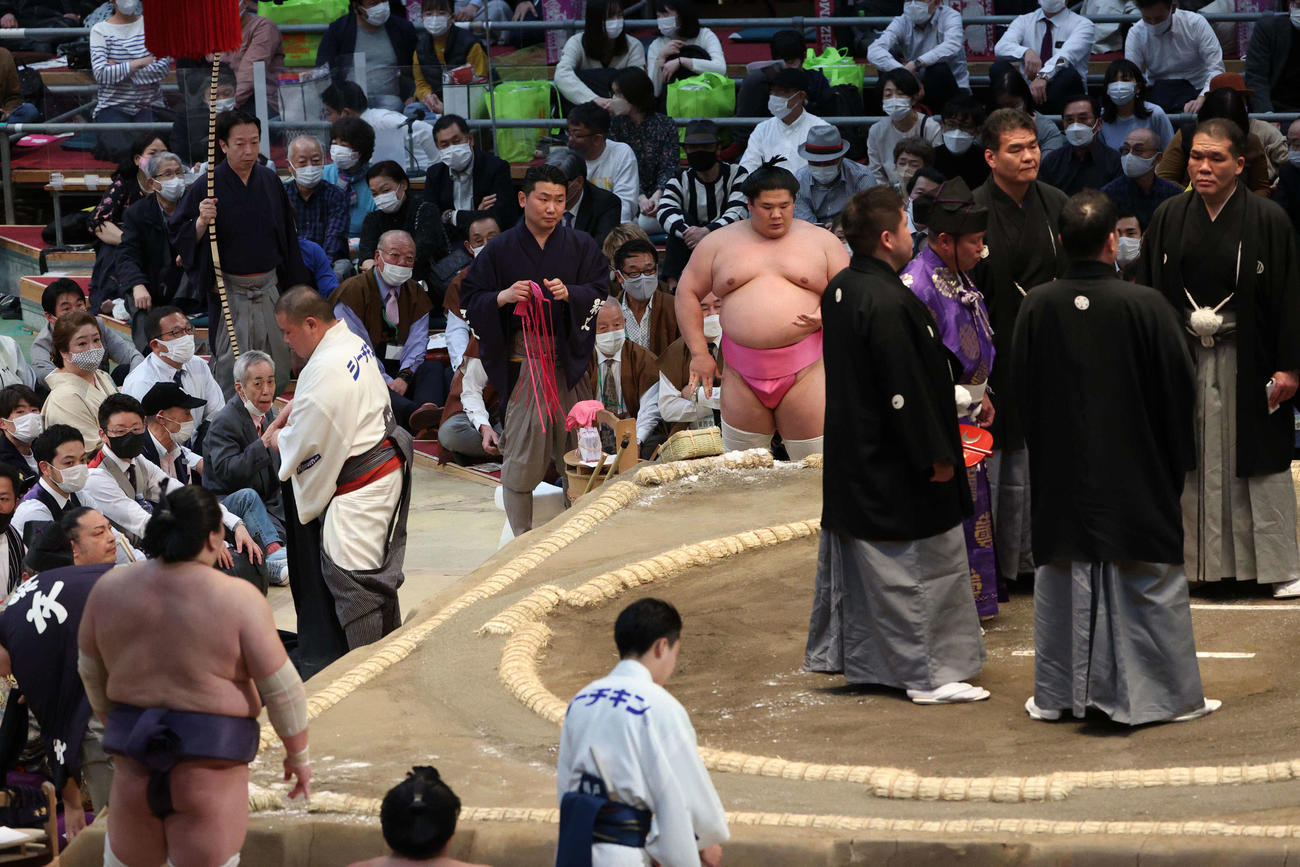 大相撲春場所3日目　物言いの結果を待つ照ノ富士（左下）と宇良（撮影・上田博志）