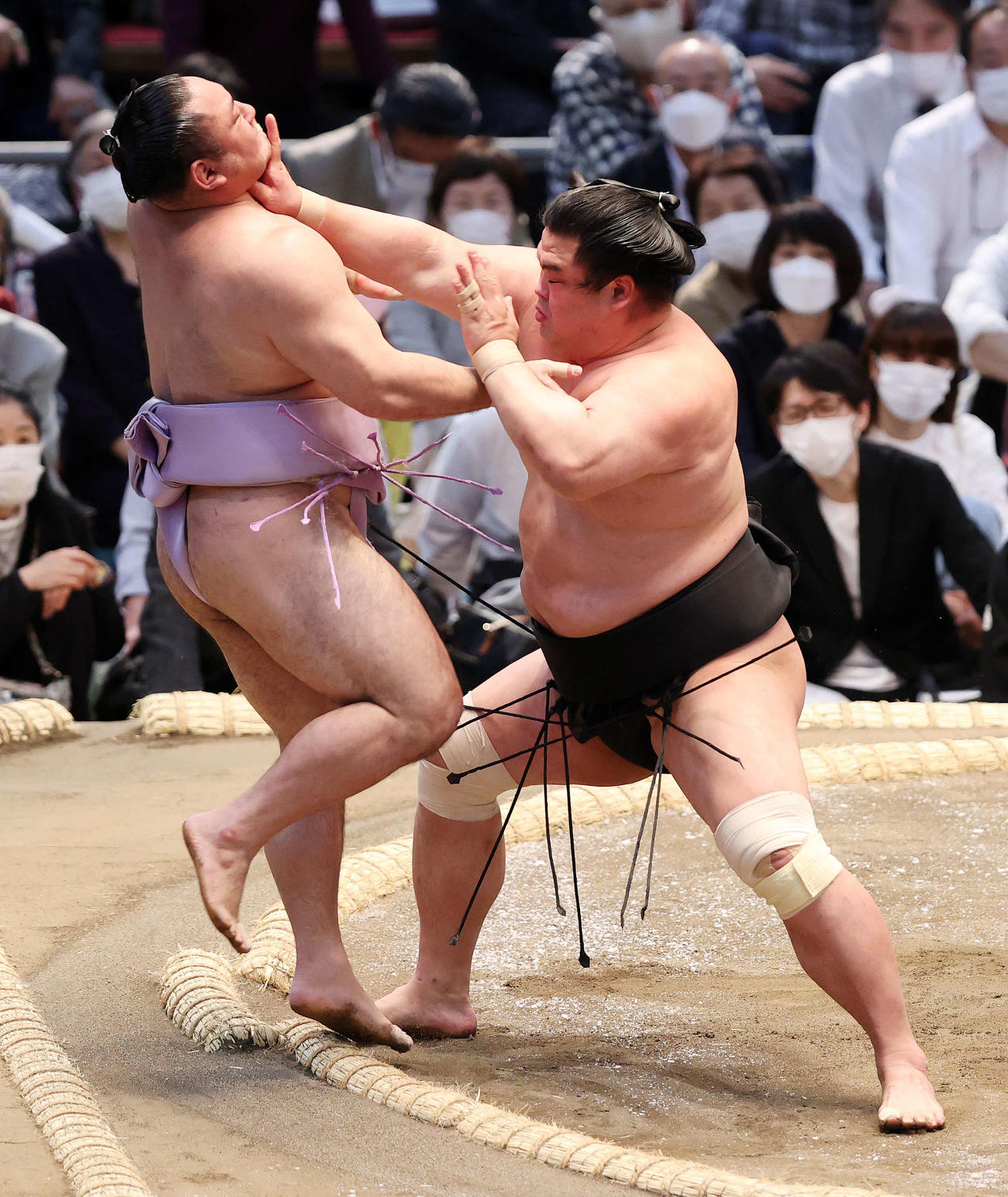 琴恵光（左）を押し出しで破る妙義龍（撮影・鈴木正人）