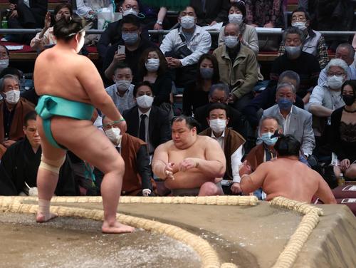 大相撲春場所3日目　琴ノ若（左）は押し出しで石浦を破る（撮影・上田博志）