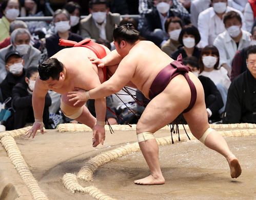阿武咲（左）を押し倒しで破る遠藤（撮影・鈴木正人）