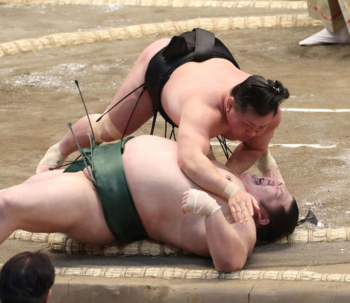 大相撲春場所3日目　千代大龍（左）を下手投げで破る照強（撮影・上田博志）