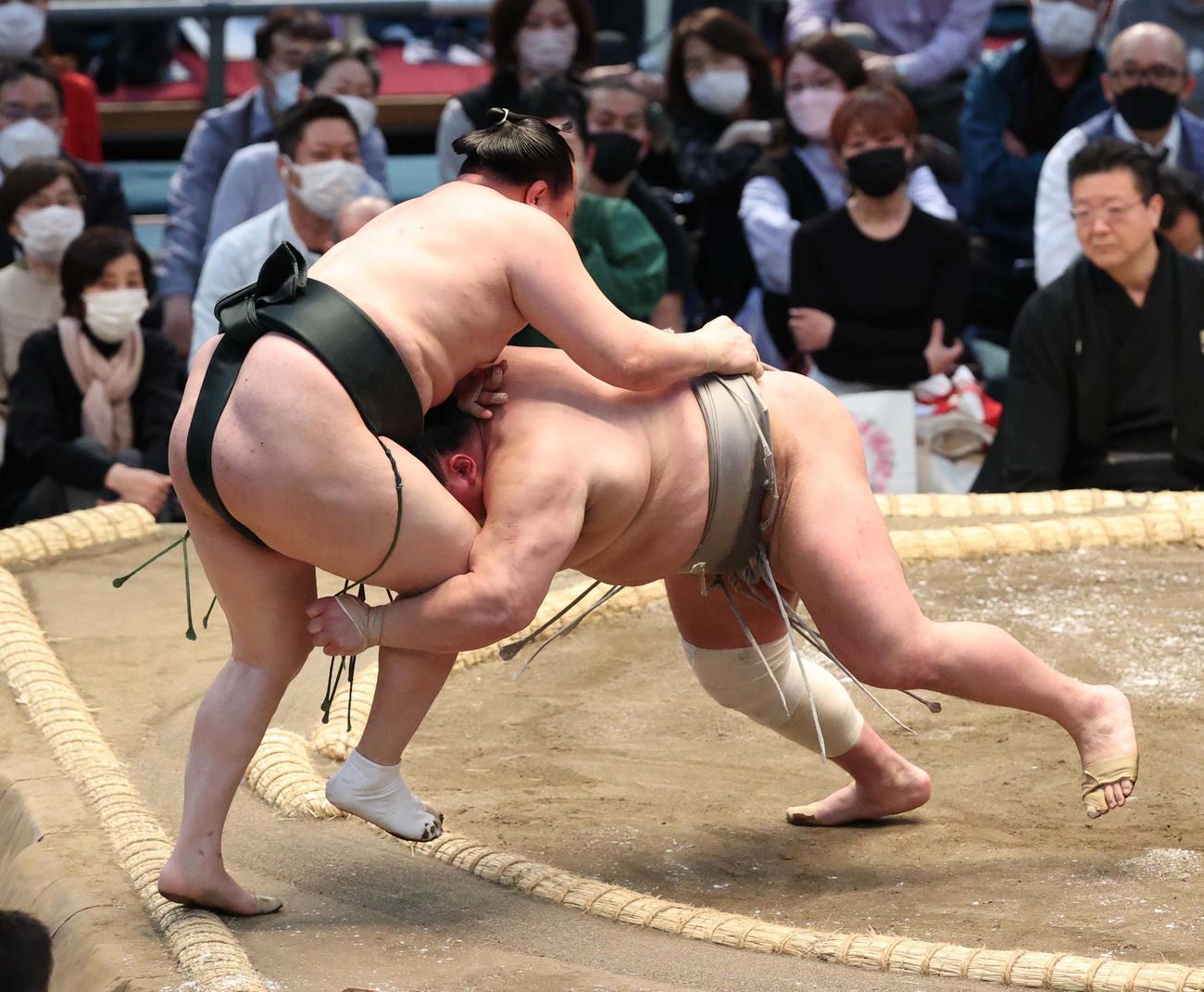 千代翔馬（左）を押し出しで破る北勝富士（撮影・上田博志）